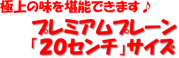プレミアムプレーン２０センチサイズ